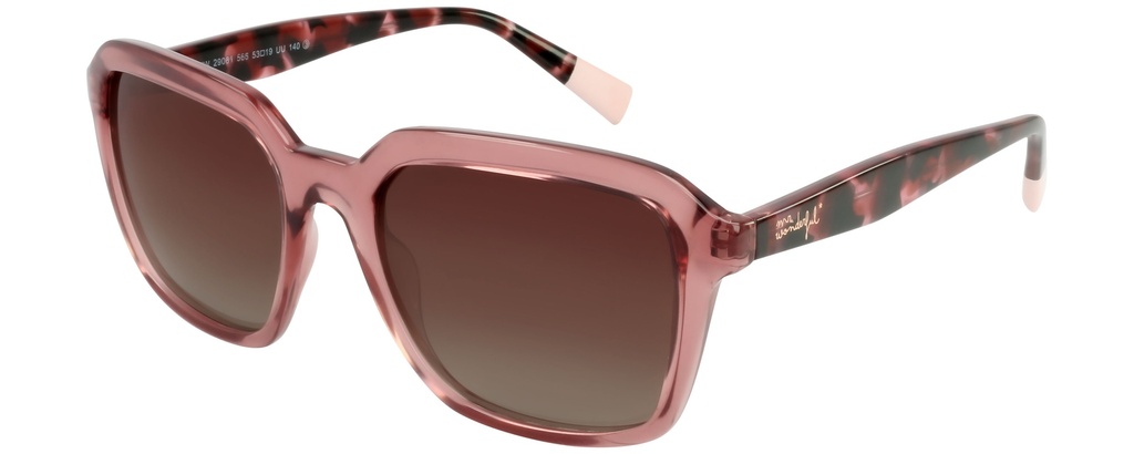 MR. WONDERFUL SUN  29081 COL 566