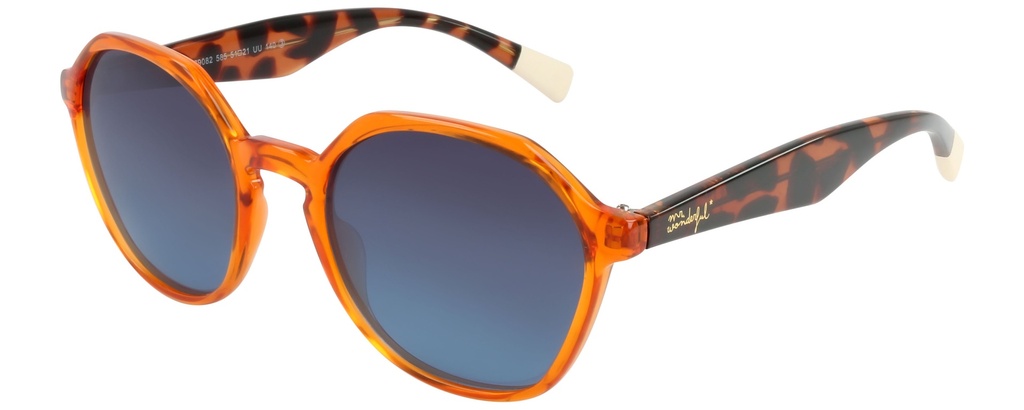 MR. WONDERFUL SUN  29082 COL 585