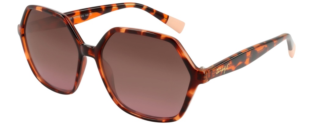 MR. WONDERFUL SUN  29086 COL 595