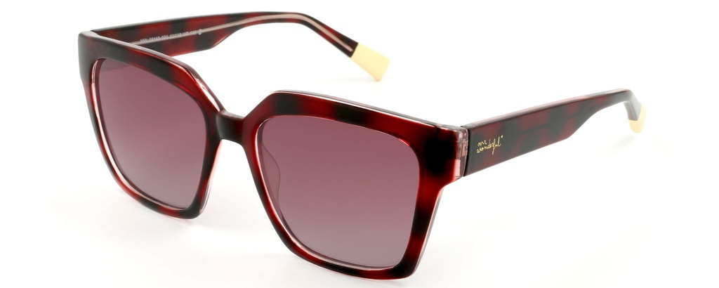 MR. WONDERFUL SUN  29110 COL 595