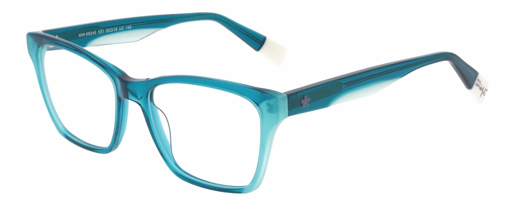 MR. WONDERFUL RX* 69245 COL 531