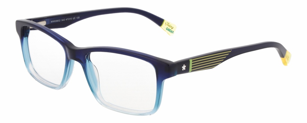 MR. WONDERFUL RX* 69852 COL 543