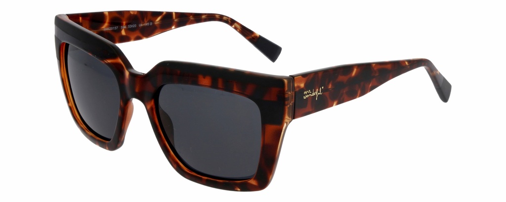 MR. WONDERFUL SUN  29157 COL 595