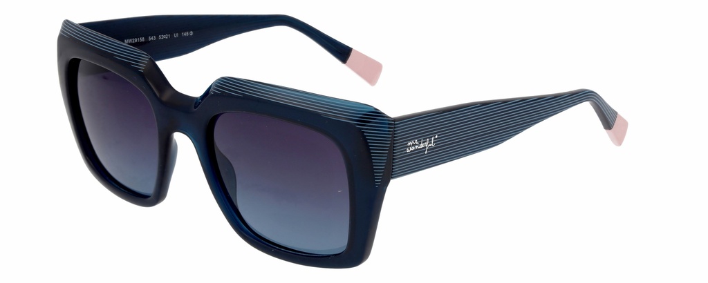 MR. WONDERFUL SUN  29158 COL 543