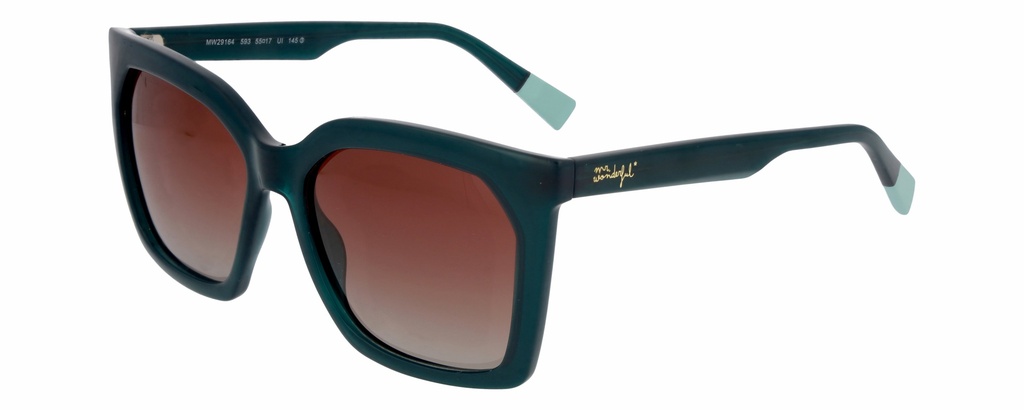 MR. WONDERFUL SUN  29164 COL 593