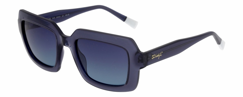 MR. WONDERFUL SUN  29166 COL 645