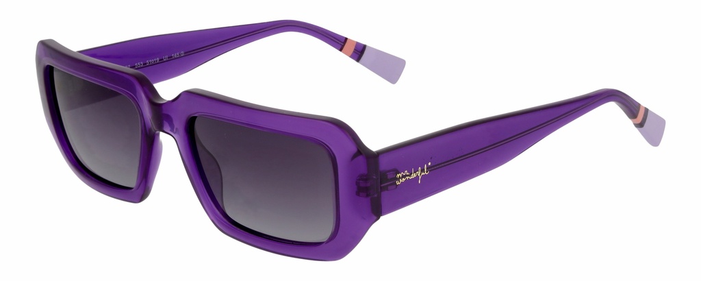 MR. WONDERFUL SUN  29167 COL 553