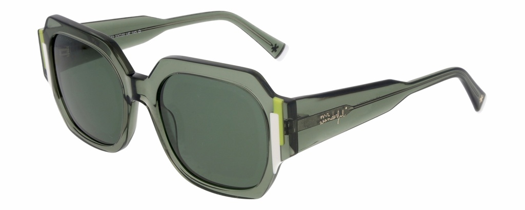 MR. WONDERFUL SUN  29813 COL 533