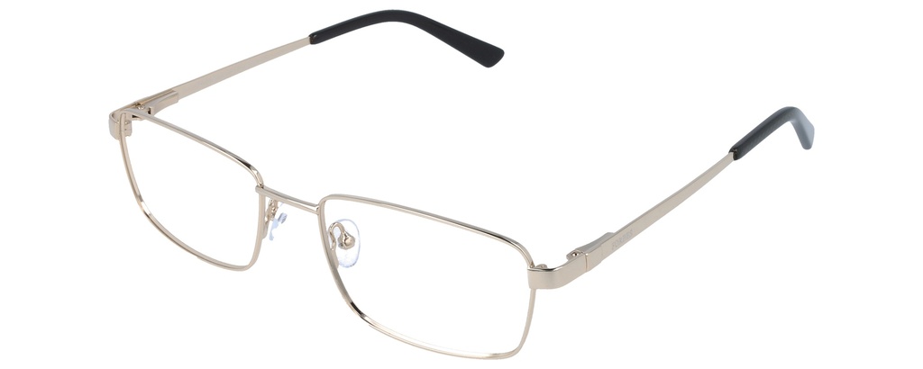 FORBES RX* 51185 COL.101