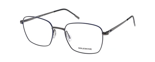 MOLESKINE RX* 2219 COL 11