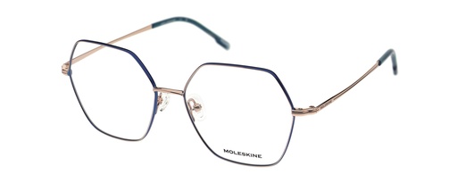 MOLESKINE RX* 2253 COL 25