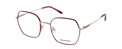 MOLESKINE RX* 2255 COL 24