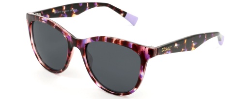 MR. WONDERFUL SUN  29111 COL 564