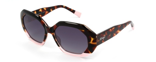 MR. WONDERFUL SUN  29123 COL 566