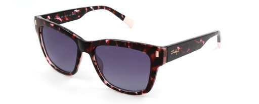 MR. WONDERFUL SUN  29129 COL 560