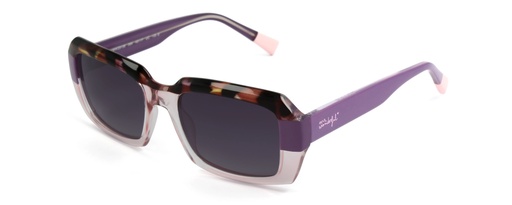 MR. WONDERFUL SUN  29138 COL 564