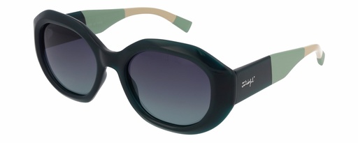 MR. WONDERFUL SUN  29144 COL 533