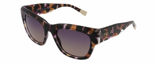 MR. WONDERFUL SUN  29148 COL 550