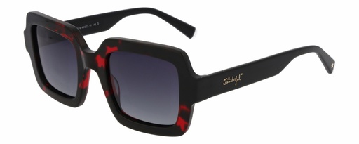 MR. WONDERFUL SUN  29800 COL 574