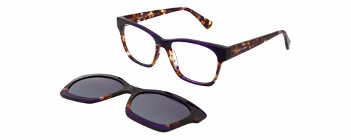 ARP Clip On A*  89003 COL 455