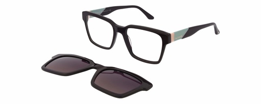 GUY LAROCHE Clip On A RX* 81077 COL 553