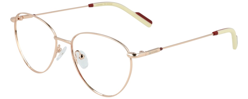 KODAK Color Frame* CF80082 100