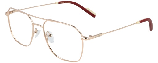 KODAK Color Frame* CF80086 100