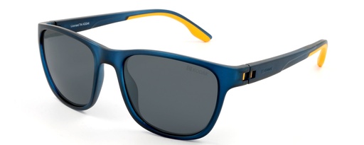 KODAK Color Sunglasses CF 90113 645