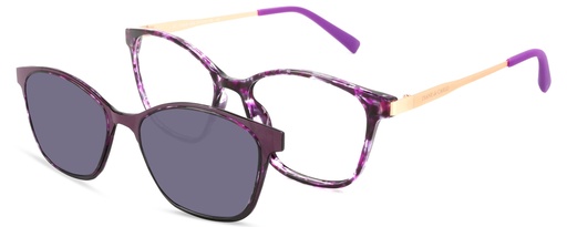 Clip on 01 DIANE DE CARLO 59900 COL 554