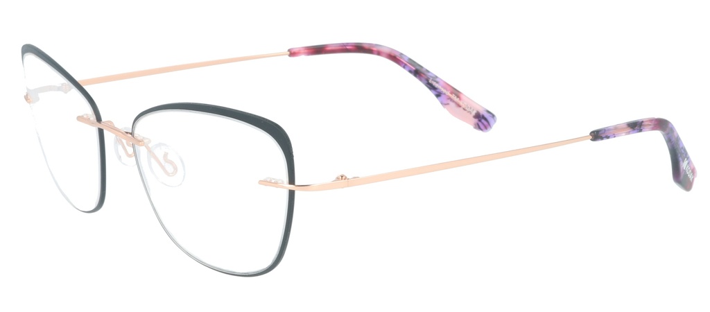 KODAK Frame* FI 70046 100