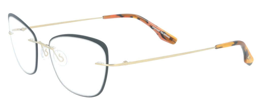 KODAK Frame* FI 70046 101