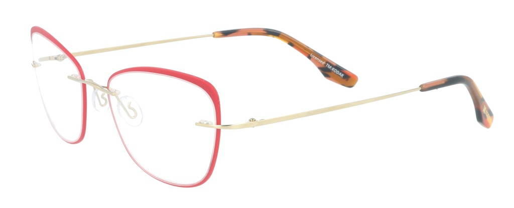 KODAK Frame* FI 70046 301