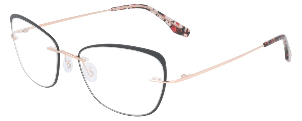 KODAK Frame* FI 70046 601