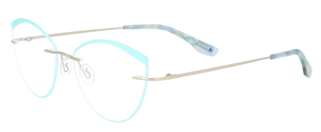 KODAK Frame* FI 70047 401