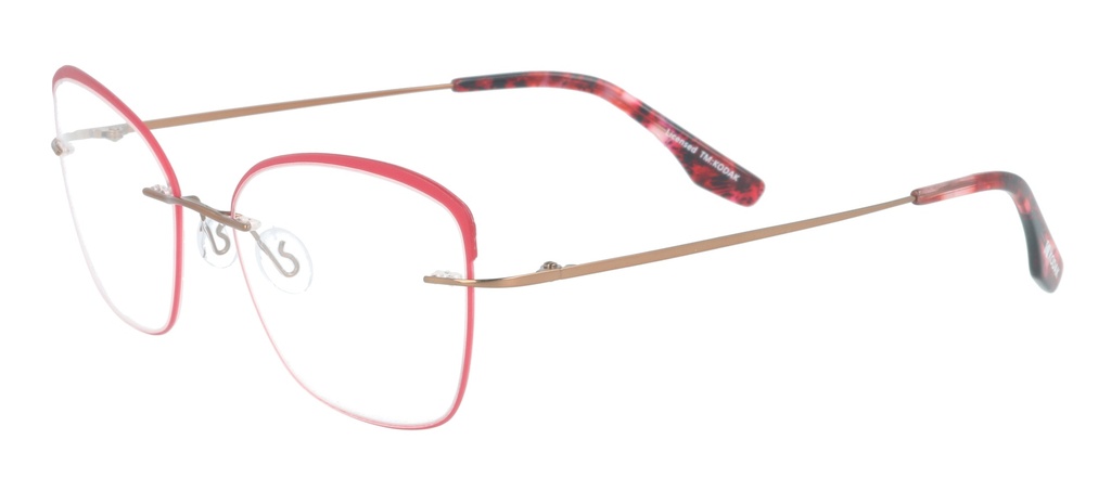 KODAK Frame* FI 70049 100