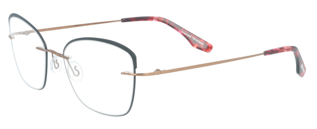 KODAK Frame* FI 70049 200