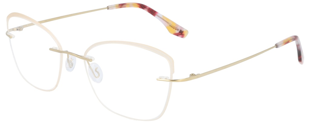 KODAK Frame* FI 70049 611