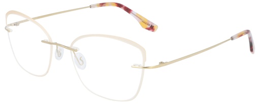 KODAK Frame* FI 70049 611