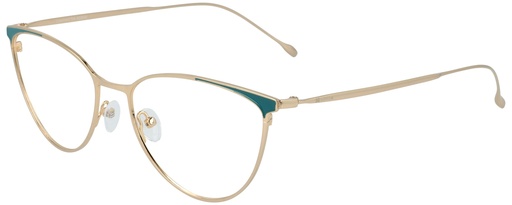 KODAK Frame* FI 70070 231