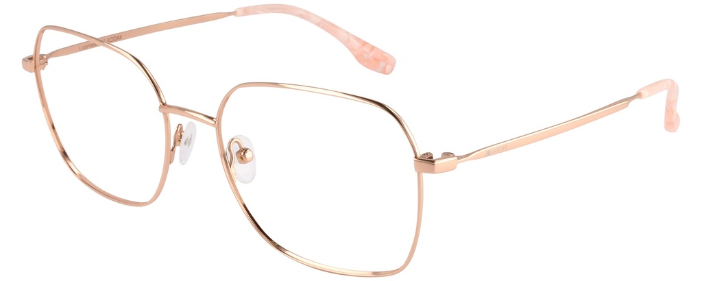 KODAK Frame* FI 70091 100