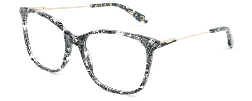 KODAK Frame* FI 70120 512